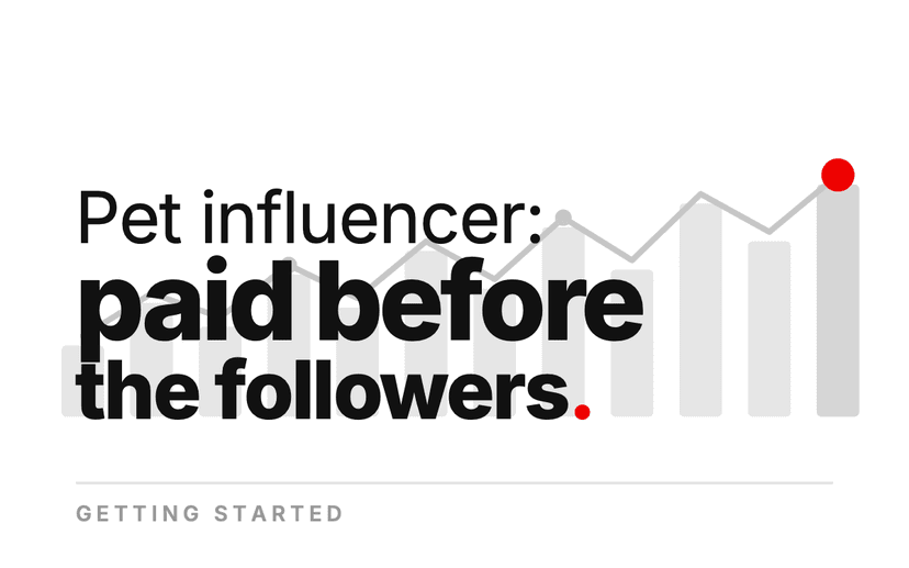 How to Become a Pet Influencer, and When the Money Starts