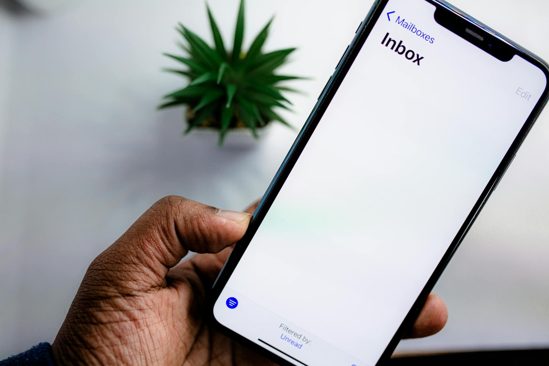 UGC for Email Marketing: How to Use Creator Content in Your Campaigns