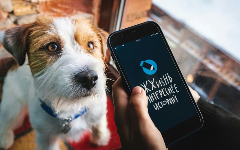 Pet UGC: How Pet Owners Get Paid Without Followers
